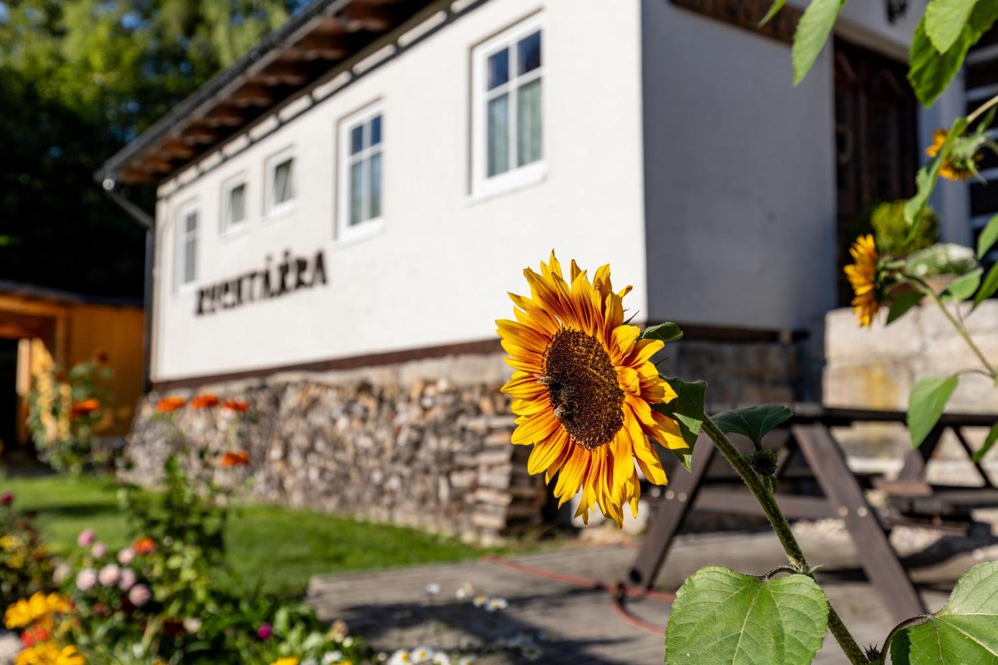 Chata Rychtarka Janov nad Nisou Exterior photo